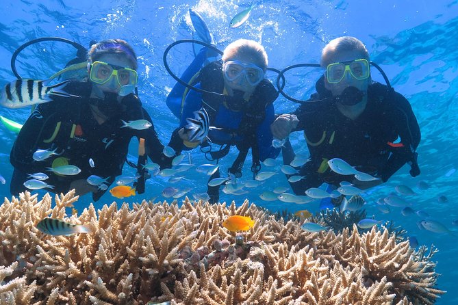 Quicksilver Outer Great Barrier Reef Snorkel Cruise From Port Douglas