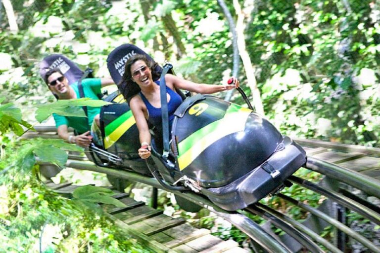 Rainforest Bobsled Mystic Mountain Tour Fr Montego Bay