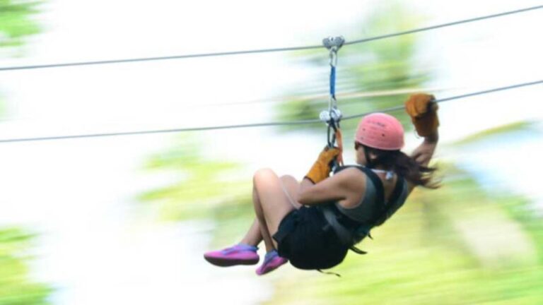 Rainforest Ziplining Adventure