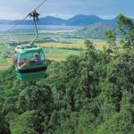 1 rainforestation day tour including river boat skyrail cairns the tropical north Rainforestation Day Tour Including River Boat & Skyrail - Cairns & the Tropical North