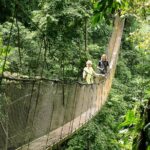 1 rainmaker park hanging bridges waterfalls tour with jade tours Rainmaker Park Hanging Bridges & Waterfalls Tour With Jade Tours