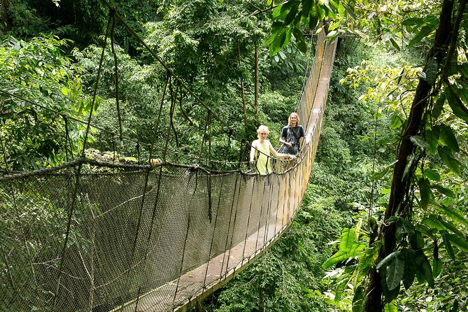 1 rainmaker park hanging bridges waterfalls tour with jade tours Rainmaker Park Hanging Bridges & Waterfalls Tour With Jade Tours