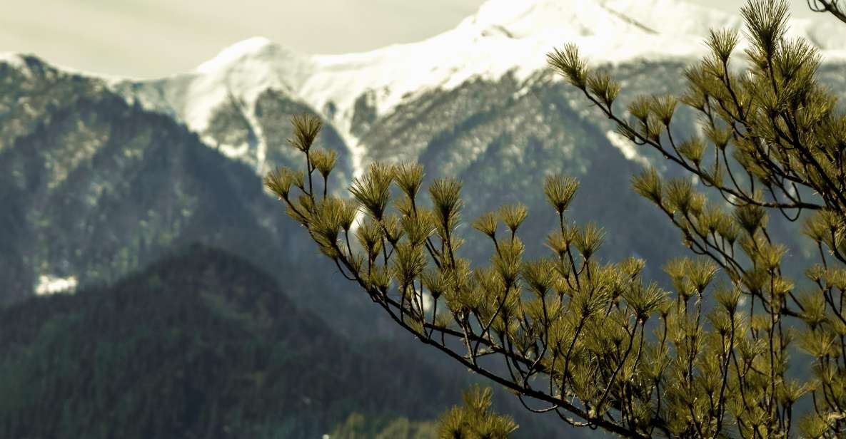 1 rara lake trek Rara Lake Trek