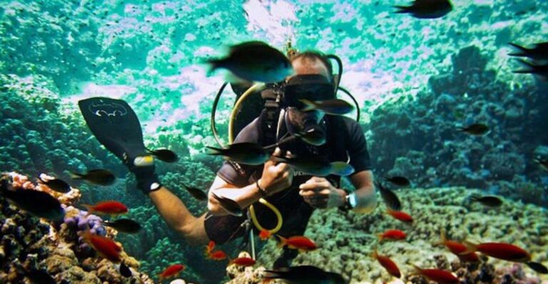 Ras Muhammad National Park: Diving Boat Trip From Sharm