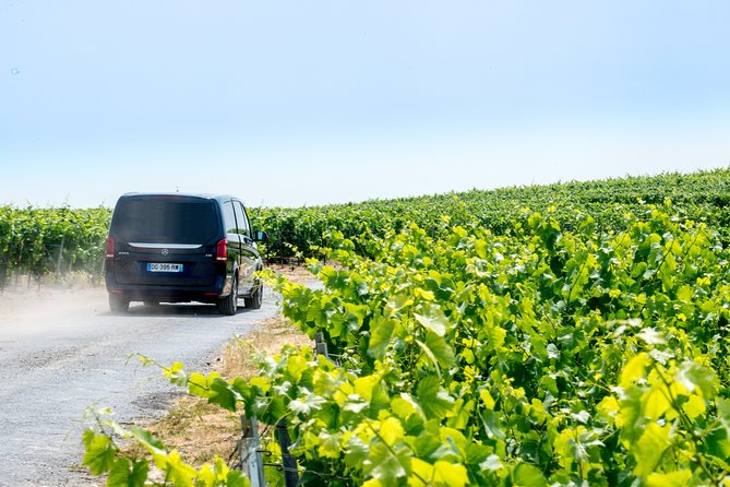 Reims or Epernay Region: Half Day Private Tour Minivan and Driver at Disposal
