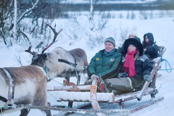 1 reindeer sledding and feeding with sami culture in tromso Reindeer Sledding and Feeding With Sami Culture in Tromso.