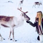 1 reindeer visit and sami culture including lunch from tromso Reindeer Visit, and Sami Culture Including Lunch From Tromso