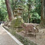 1 relax in nara deer park todai ji temple and merchants town Relax in Nara: Deer Park, Todai-ji Temple and Merchants Town