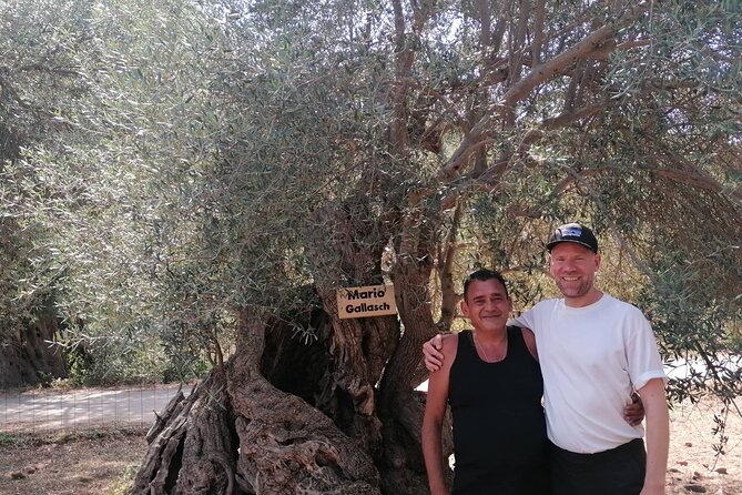 Rethymnon Olive Tree Sponsorship Protect and Plant Tour