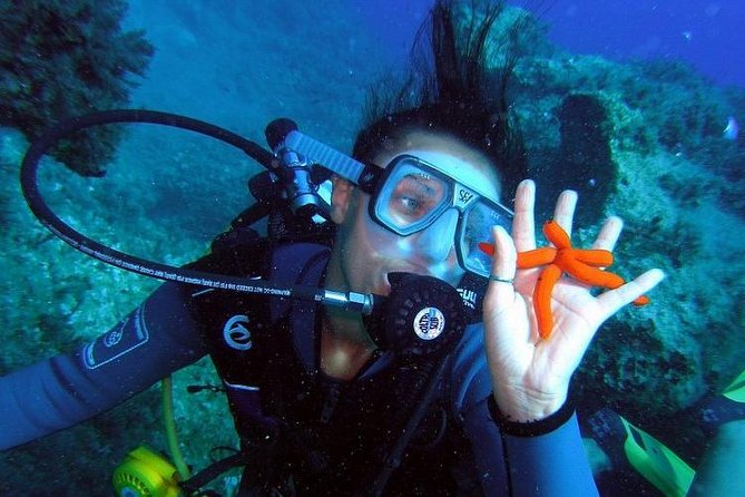 1 rhodes scuba diving Rhodes Scuba Diving Experience