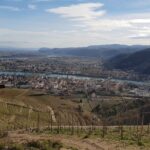1 rhone valley wine tasting private day tour from lyon Rhône Valley Wine Tasting Private Day Tour From Lyon