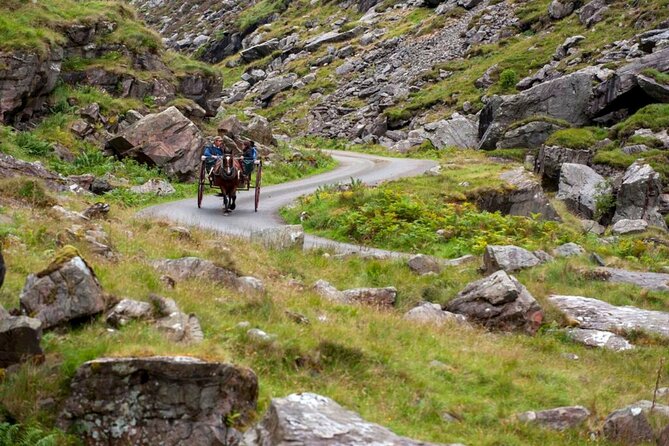 1 ring of kerry killarney tour departing from cork city guided full day Ring of Kerry & Killarney Tour Departing From Cork City. Guided. Full Day.