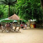 1 rio de janeiro botanical garden guided tour parque lage Rio De Janeiro: Botanical Garden Guided Tour & Parque Lage
