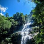 1 rio de janeiro tijuca forest challenge hike full day trip Rio De Janeiro: Tijuca Forest Challenge Hike Full-Day Trip