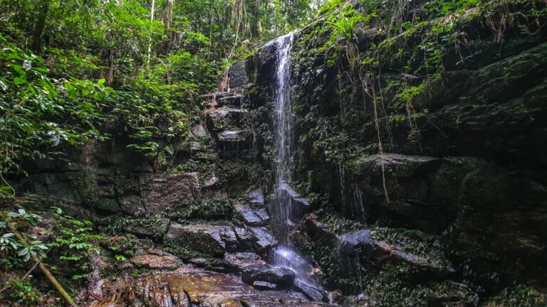 Rio De Janeiro: Tijuca Forest Waterfall of Souls Hike