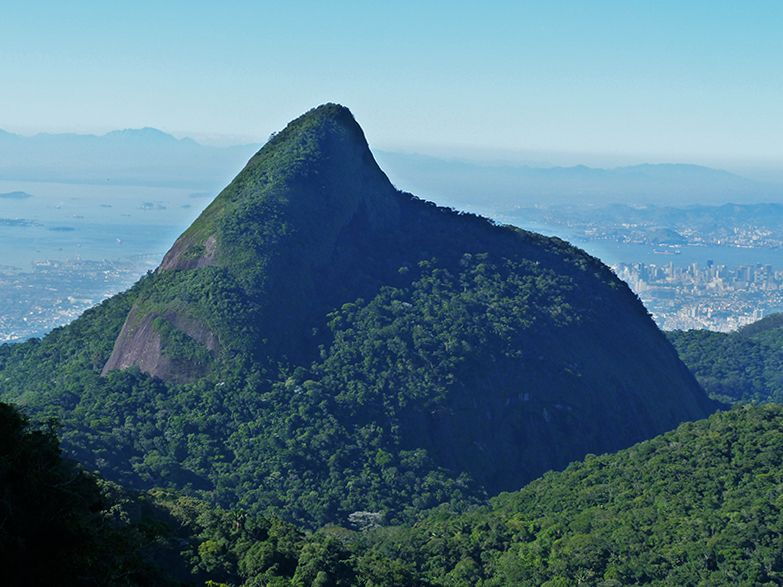 Rio De Janeiro: Tijuca Peak Guided Hike