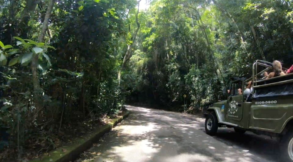 Rio: Jeep Tour to Botanical Garden and Tijuca Forest - Key Points