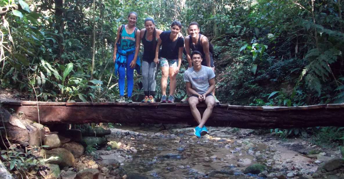 1 rio tijuca forest historical hike cachoeira das almas Rio: Tijuca Forest Historical Hike & Cachoeira Das Almas