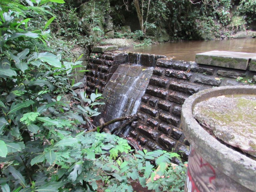 1 rio tijuca forest horto waterfalls circuit tour Rio: Tijuca Forest & Horto Waterfalls Circuit Tour