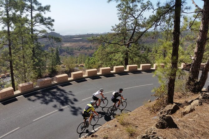 Road Cycling Tenerife – Teide Route