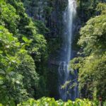 1 road to hana adventure in maui private just for your group Road to Hana Adventure in Maui- Private - Just for Your Group