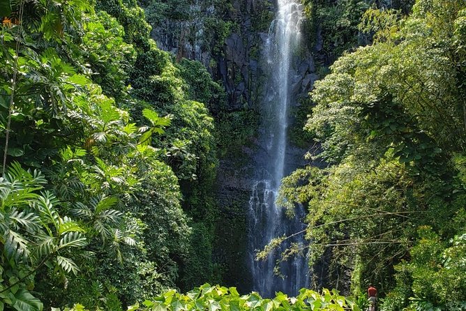 Road to Hana Adventure in Maui- Private – Just for Your Group
