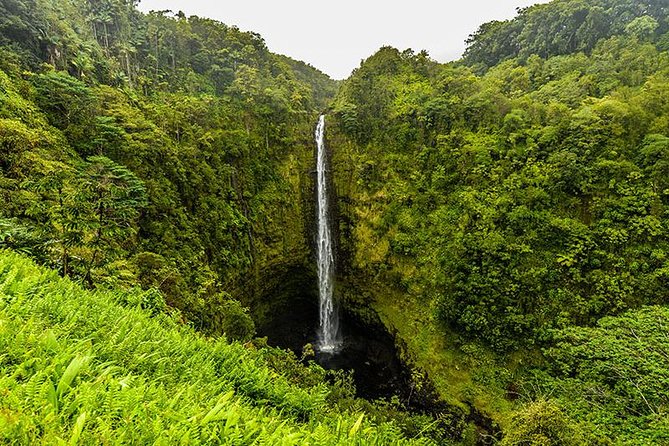 Road To Hana: Maui Waterfall Hiking Tour in Private Jeep
