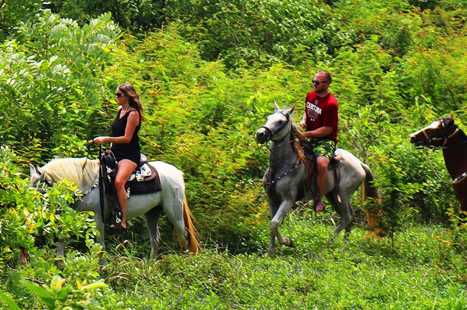 1 roatan horseback riding zip line monkey sloths and snorkel Roatan Horseback Riding, Zip Line Monkey/Sloths and Snorkel