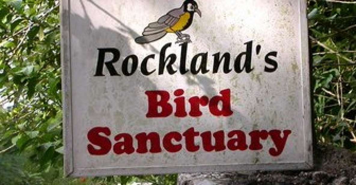 1 rocklands bird sanctuary 2 hour montego bay tour Rocklands Bird Sanctuary: 2-Hour Montego Bay Tour