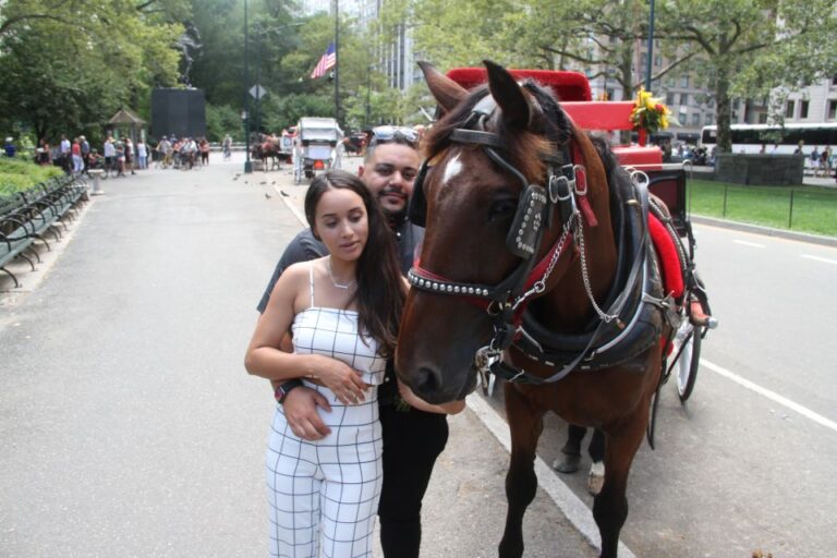 Romantic/Proposal Central Park Carriage Tour Up to 4 Adults