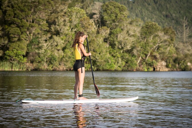 Rotorua Stand-Up Paddle Board Glow Worm Tour