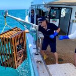 1 rottnest island all inclusive seafood cruise from fremantle mar Rottnest Island All-Inclusive Seafood Cruise From Fremantle (Mar )