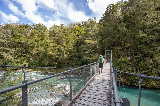 Routeburn Track Guided Walk (Half-Day)