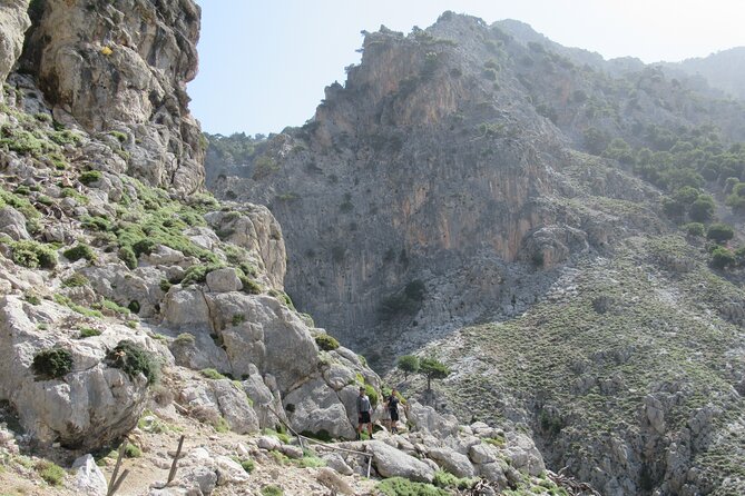 Rouvas Gorge Trekking Experience From Heraklion (Mar )