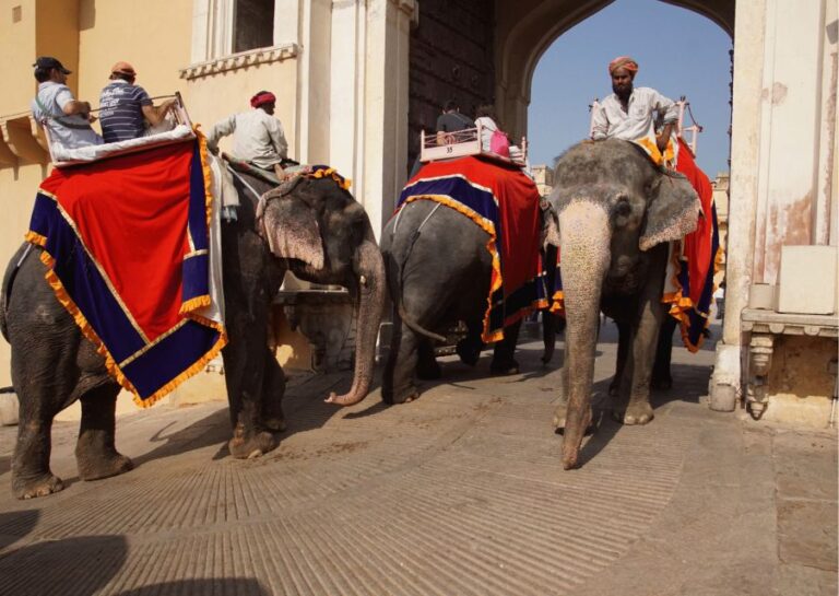 Royal Trails of Jaipur With a Local Half Day Guided Tour