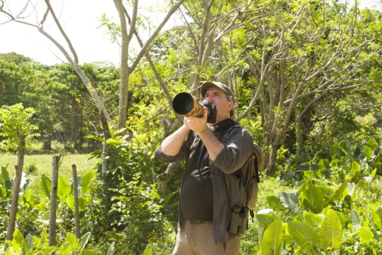 Sabana De La Mar: Los Haitises Park Bird-Watching Tour