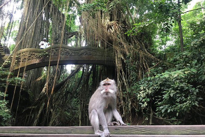 Sacred Monkey Forest Sanctuary – Rice Terrace – Waterfall -Temple