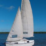 1 sailboat tour in aracaju Sailboat Tour in Aracaju