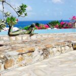 1 saint kitts and nevis scenic gardens tour Saint Kitts and Nevis: Scenic Gardens Tour