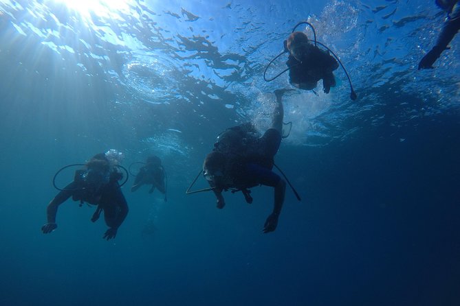 Salou Private Beginner Scuba Diving Course  – Tarragona