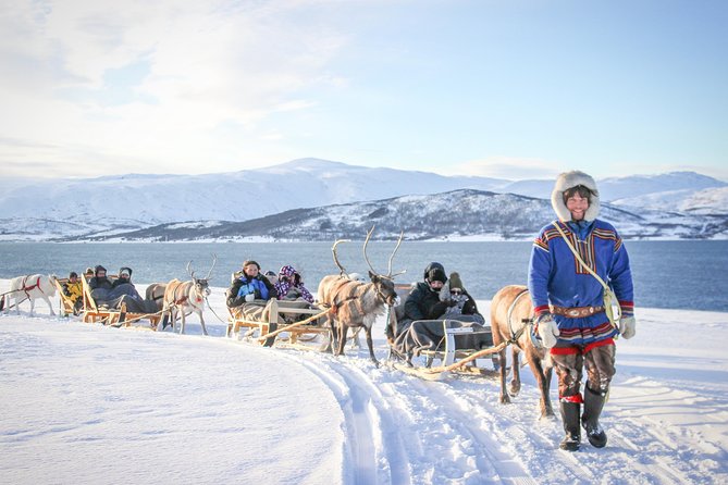 1 sami culture and short reindeer sledding from tromso Sami Culture and Short Reindeer Sledding From Tromso