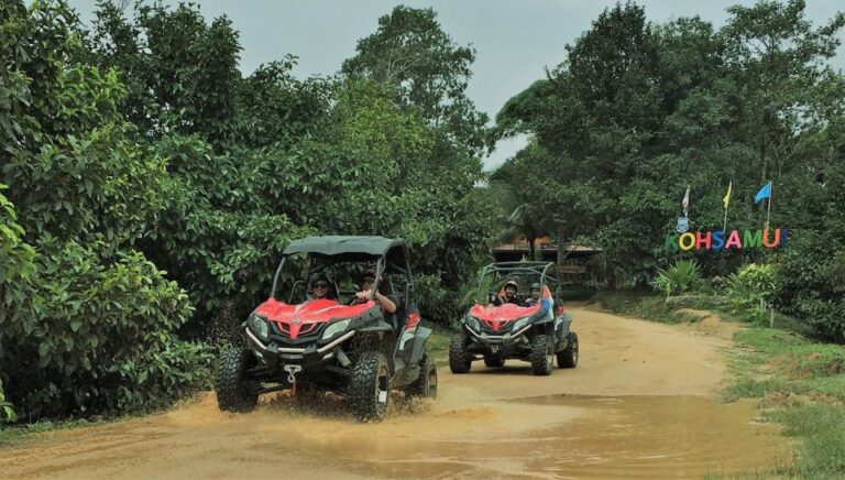 Samui X Quad 4WD Buggy Tour With Lunch