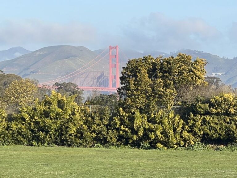 San Francisco: Major Landmarks Private Sightseeing Tour
