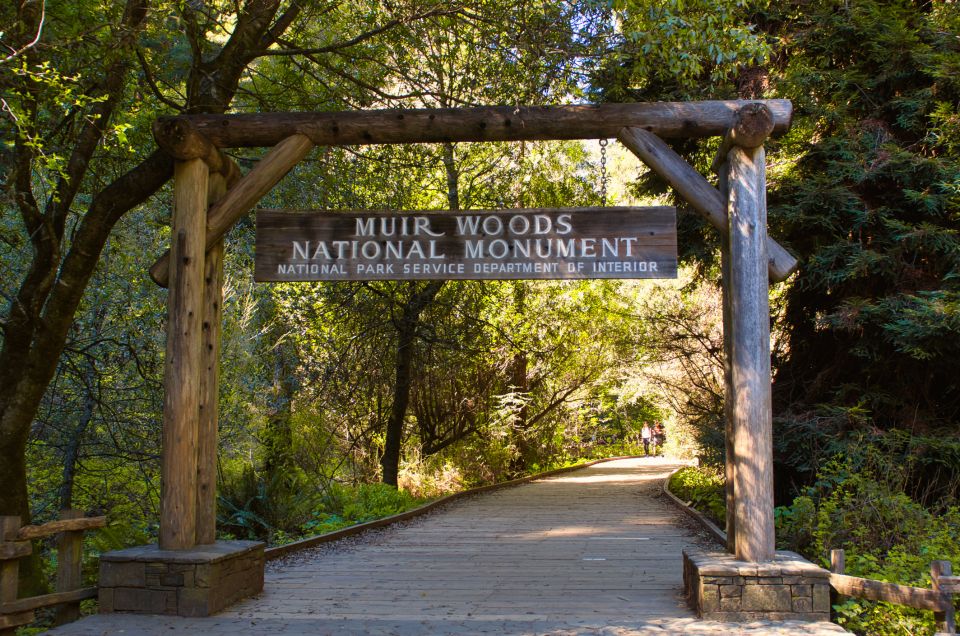 1 san francisco private muir woods sausalito half day trip San Francisco: Private Muir Woods, Sausalito Half-Day Trip