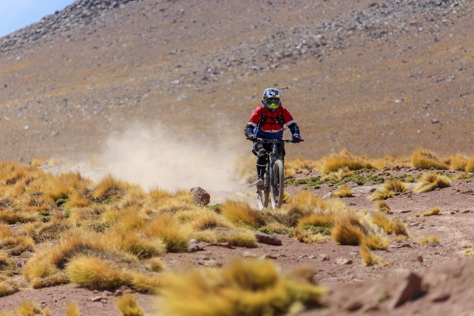 1 san pedro de atacama volcano downhill bike tour San Pedro De Atacama: Volcano Downhill Bike Tour