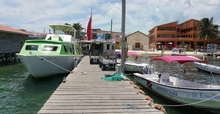 San Pedro: Guided Family Walking Tour