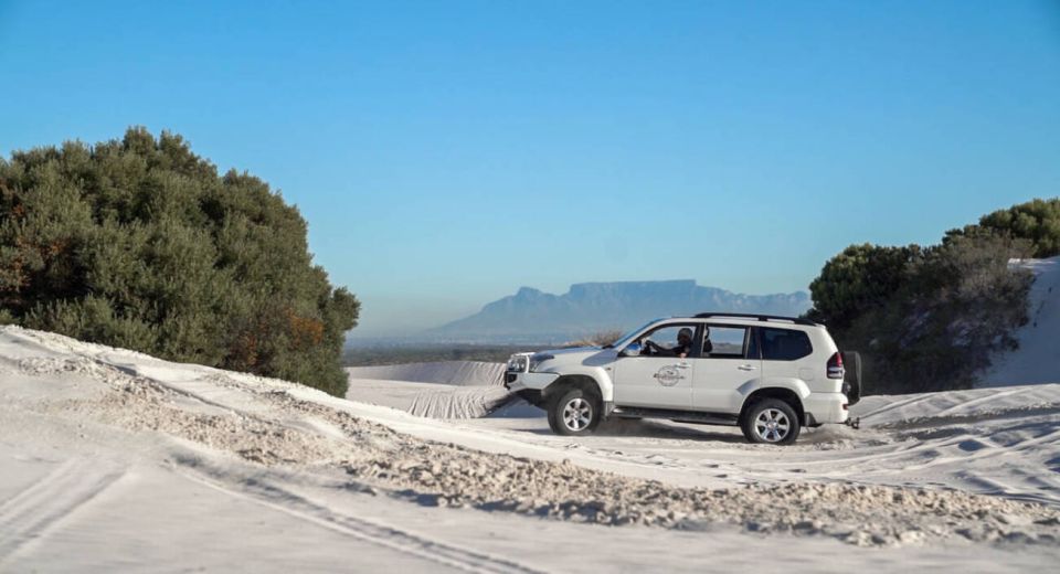 1 sand dune safaris Sand Dune Safaris