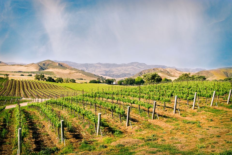 1 santa barbara wine country tour with lunch Santa Barbara: Wine Country Tour With Lunch