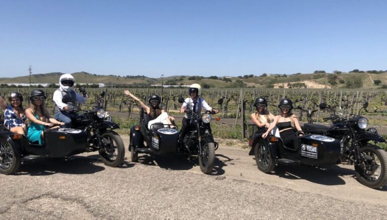 Santa Cruz: Sidecar Wine Tour With Guide and Wine Tasting
