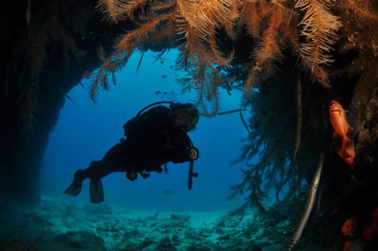 Santa Maria: Advance Open Water Diver – PADI or SSI Course